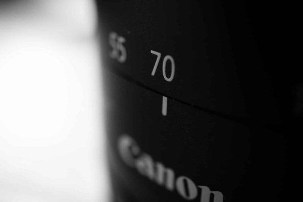 Qu'est-ce que la photographie macro ? Tout ce que vous devez savoir